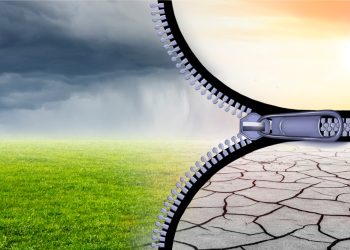 Power transition considerations divert focus from local weather change – report