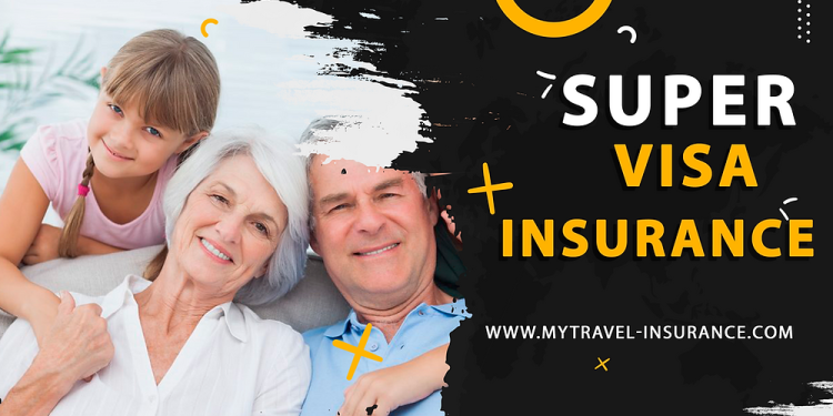 We Earned the “Prime Contributor” badge in Tremendous Visa Insurance coverage