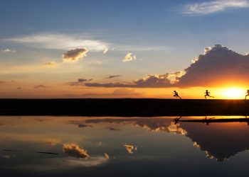 3 life insurance coverage underwriting predictions for 2023 | Insurance coverage Weblog