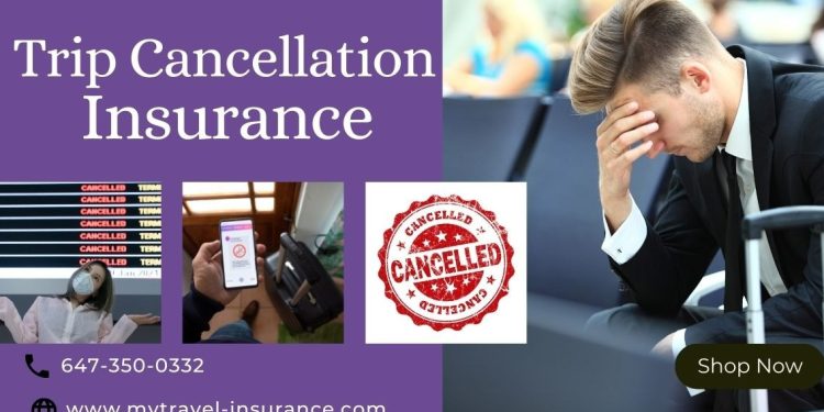 What Is Lined In Journey Cancellation Insurance coverage?