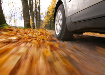 Do I Must Pay for an At Fault Declare?