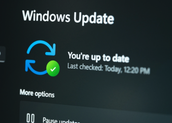 Microsoft Patch Tuesday, Might 2023 Version – Krebs on Safety