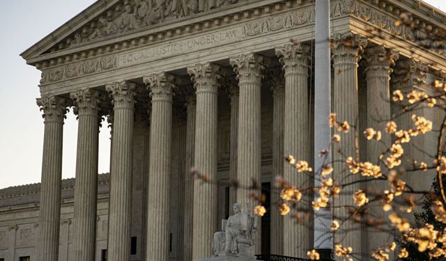 Shoppers With LLCs Want a Enterprise Continuity Plan Verify