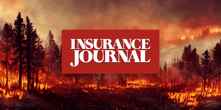 California Wildfire Losses: Web or Gross?