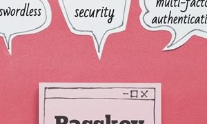 Passkeys Set to Shield GOV.UK Accounts Towards Cyber-Assaults