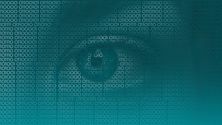 My data was stolen. Now what?