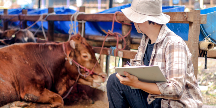 High 10 farm insurance coverage firms within the US