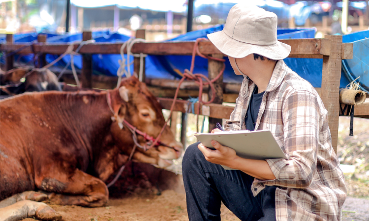 High 10 farm insurance coverage firms within the US