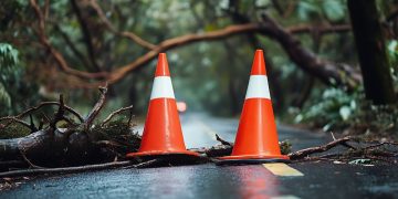 East Fork Pottery sues Vacationers over denied hurricane enterprise interruption declare