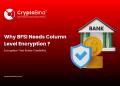Why BFSI wants column-level encryption