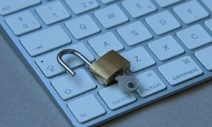 Cybercriminals Exploit Low-Price Preliminary Entry Dealer Market