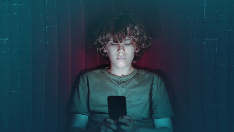 The place Florida’s new legislation falls brief