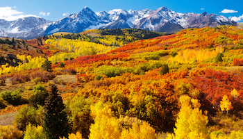 Fall Journey Vacation spot Concepts to See Stunning Foliage