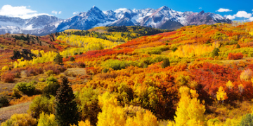 Fall Journey Vacation spot Concepts to See Stunning Foliage