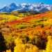 Fall Journey Vacation spot Concepts to See Stunning Foliage
