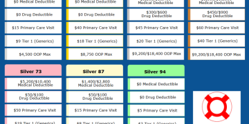 Coated California 2026 Profit Construction: What You Must Know