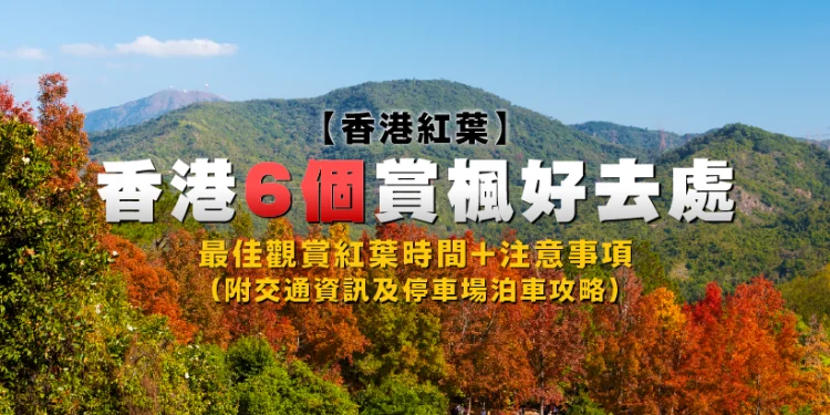 Hong Kong Fall Foliage: 6 Nice Spots for Viewing Fall Foliage (with Transportation and Parking Suggestions)