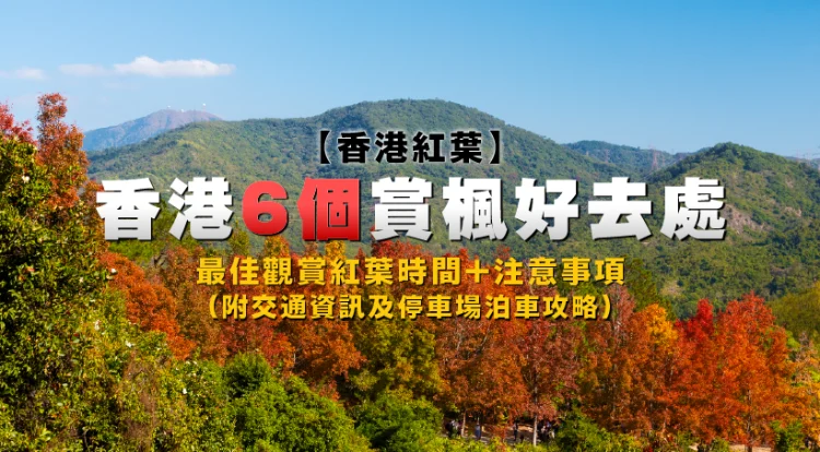Hong Kong Fall Foliage: 6 Nice Spots for Viewing Fall Foliage (with Transportation and Parking Suggestions)