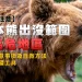 [Japan Travel Tips] Bear Recognizing Areas and Excessive-Threat Areas in Japan