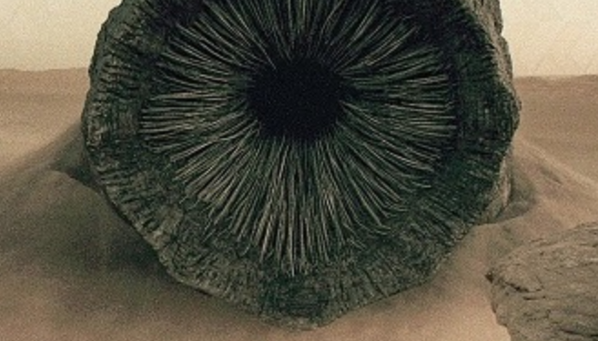 Self-Replicating Worm Hits 180+ Software program Packages – Krebs on Safety