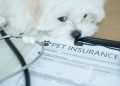 New Jersey passes pet insurance coverage act, mandates trade compliance by 2027