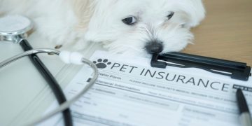 New Jersey passes pet insurance coverage act, mandates trade compliance by 2027