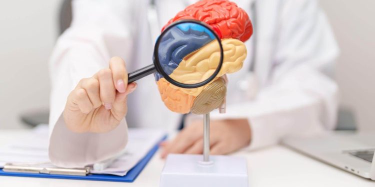 Neurological Problems That Qualify for Lengthy-Time period Incapacity