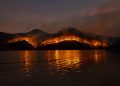 Wildfire Journey Insurance coverage Protection Defined