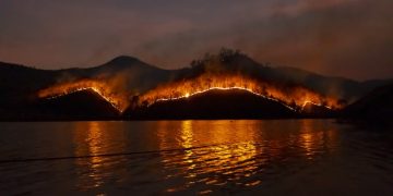 Wildfire Journey Insurance coverage Protection Defined